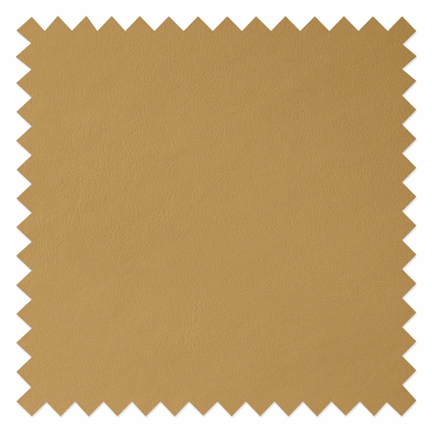 Studio Copenhagen Chaises Wilga V (lot de 2) - Cuir véritable 15 Studio Copenhagen Chaises Wilga V (lot de 2) - Cuir véritable – Image 13