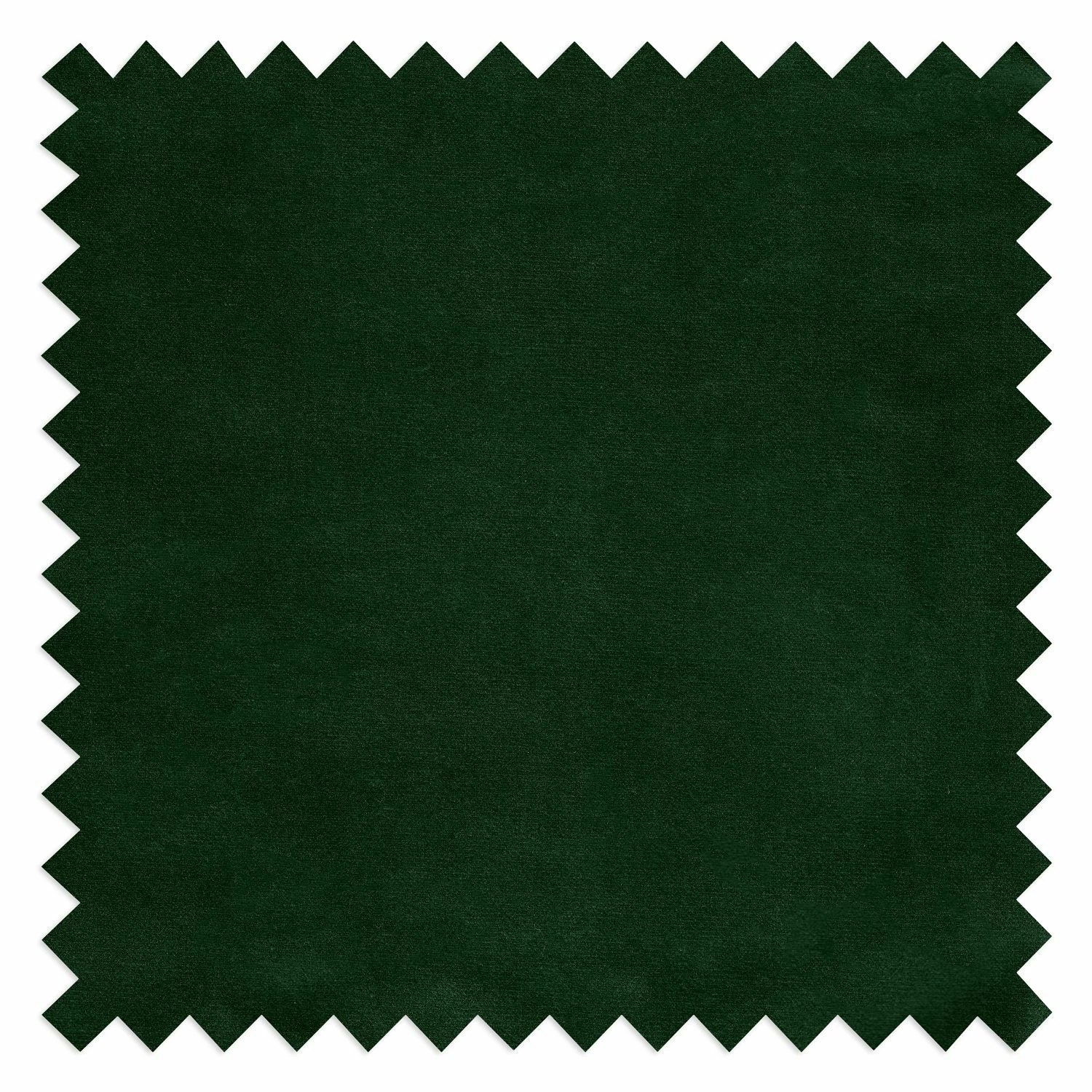 Jack & Alice Chaises capitonnées Evy (lot de 2) - Velours / Métal - Doré - Velours Sua: Vert foncé 16 Jack & Alice Chaises capitonnées Evy (lot de 2) - Velours / Métal - Doré - Velours Sua: Vert foncé – Image 14