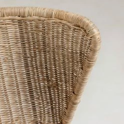 Red Living Chaises Rantin(lot de 2) - Rotin / Acier - Rotin / Noir -Chaises Boutique 1000216198 200623 13474900280 DETAILS P000000001000216198