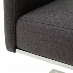 Fredriks Chaises cantilever Oxhill (lot de 2) - maille fin / Acier - Anthracite / Chrome -Chaises Boutique 1000224873 201016 12355900116 DETAILS P000000001000224873