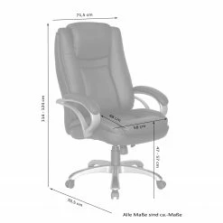 Furnitive Fauteuil de bureau Roynac - Imitation cuir / Matière plastique - Noir / Argenté -Chaises Boutique 1000248345 210217 09441200013 SKETCH DETAILS P000000001000248345 sketch