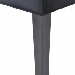 Maison Belfort Chaises capitonnées Waroona 2 (lot de 2) - Noir - Noir -Chaises Boutique 1000260656 211102 133602000087 DETAILS P000000001000260656