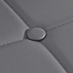 Red Living Chaises capitonnées Aline (lot de 2) - Gris -Chaises Boutique 1000271807 210602 16122200054 DETAILS P000000001000271807