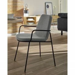 Fredriks Chaises à accoudoirs Gina (lot de 2) - Gris -Chaises Boutique 1000274236 210618 10464500276 MOOD DETAILS P000000001000274236 mood