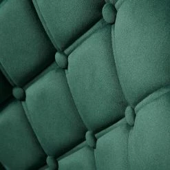 Red Living Chaises capitonnées Kaman (lot de 2) - Velours / Fer - Vert foncé / Noir -Chaises Boutique 1000303602 211117 164739000103 DETAILS P000000001000303602