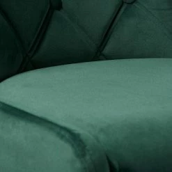 Red Living Chaises capitonnées Kaman (lot de 2) - Velours / Fer - Vert foncé / Noir -Chaises Boutique 1000303602 211117 164739000107 DETAILS P000000001000303602