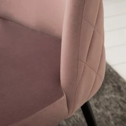 Jack & Alice Chaise capitonnée Farum - Velours / Acier - Noir - Velours Zala: Rose vieilli - Lot de 2 -Chaises Boutique 1000313393 211208 12180300059 DETAILS P000000001000313393